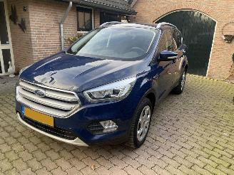 Ford Kuga 1.5 EcoBoost Trend Ultimate picture 11