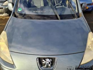 Peugeot Partner Partner Tepee (7A/B/C/D/E/F/G/J/P/S), MPV, 2008 / 2018 1.6 HDiF 90 16V Phase 1 picture 13