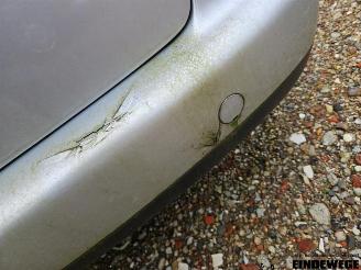 Volkswagen Touran Touran (1T1/T2), MPV, 2003 / 2010 1.6 FSI 16V picture 16