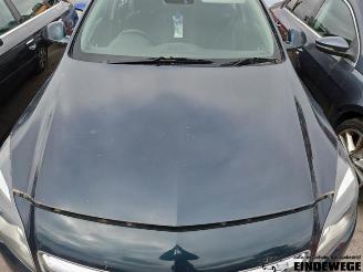 Opel Insignia Insignia, Hatchback 5-drs, 2008 / 2017 2.0 CDTI 16V 140 ecoFLEX picture 28