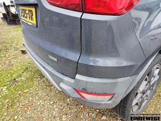Ford EcoSport EcoSport (JK8), SUV, 2013 1.0 EcoBoost 12V 125 picture 25