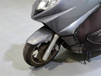 Peugeot  SATELIS picture 11