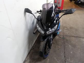 Kawasaki Z 1000 SX picture 23