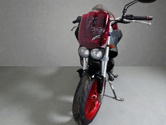 Buell XB 12 S picture 4