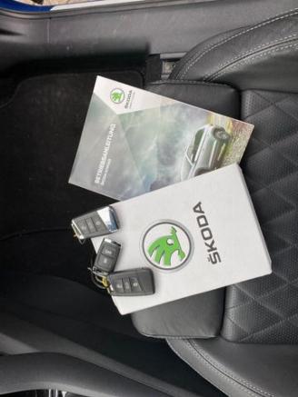 Skoda Kodiaq 2.0 TDI DSG 4x4 Sportline Leder/AHK/360 picture 22