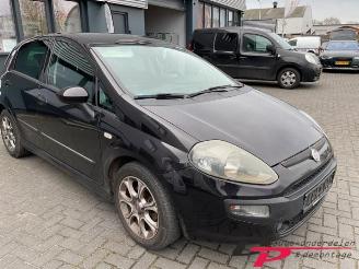 Fiat Punto Punto Evo (199), Hatchback, 2008 / 2012 1.3 JTD Multijet 85 16V Euro 5 picture 3