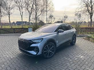 Audi Q4 Q4 e-tron Sportback 55 e-tron Quattro HUD 360view VOL picture 32