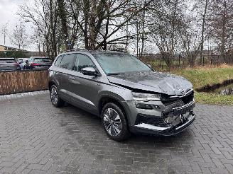 Skoda Karoq Karoq 1.5 TSI DSG Camera Trekhaak Ambiance VOL! picture 28