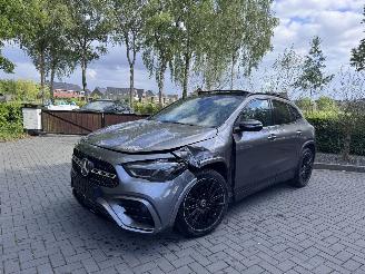 Mercedes GLA Mercedes-Benz GLA 250e AMG PANO Trekhaak Camera Ambiance HUD VOL!! picture 21