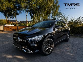 Voiture accidenté Mercedes GLA Mercedes-Benz GLA 250e AMG Panorama 360view AHK Leder VOL 2025/8