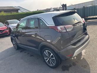 Avarii autoturisme Opel Crossland  2018/7