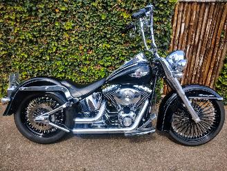 Avarii motociclete Harley-Davidson  FLSTNI Softail Deluxe Special 2005/6