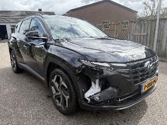 Hyundai Tucson 1.6 T-GDI PHEV Premium 4WD PLUG-INN HYBRID picture 7