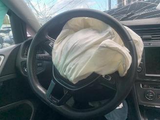 Volkswagen Golf Golf VII (AUA), Hatchback, 2012 / 2021 1.6 TDI 16V picture 17