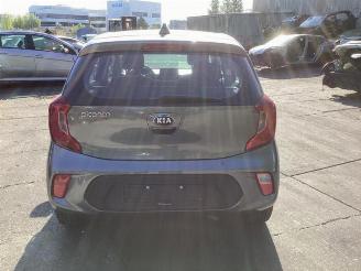 Kia Picanto Picanto (JA), Hatchback, 2017 1.0 DPi 12V picture 6