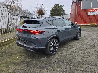  Cupra Formentor VZ 245 kW 2025/9