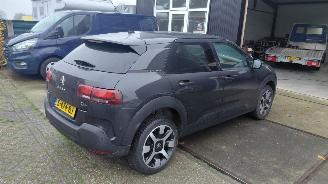 Citroën C4 cactus 1.2i  shine pano   navi picture 3