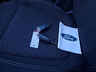 Ford Fiesta 1.0  hybrid   titanium  navi picture 13