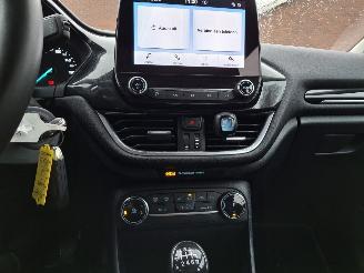 Ford Fiesta 1.0  hybrid  92kw  navi clima  titanium picture 10