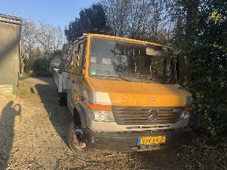 Mercedes Vario 2009/6