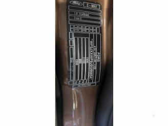 Ford C-Max C-Max (DXA), MPV, 2010 / 2019 1.0 Ti-VCT EcoBoost 12V 125 picture 18