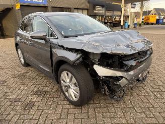 Skoda Elroq 210 Kw Batterij 85 Kw/h picture 15