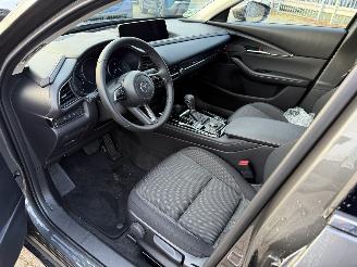 Mazda CX-30 2.5 MHEV 104 Kw Automaat Homura picture 24