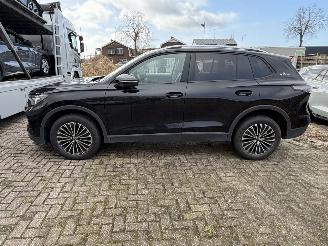 Volkswagen Tiguan 1.5 eTSi Goal picture 6