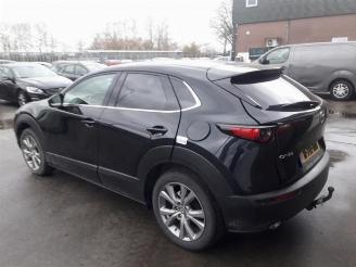 Mazda CX-30 CX-30 (DM), SUV, 2019 2.0 e-SkyActiv X 186 M Hybrid 16V picture 4