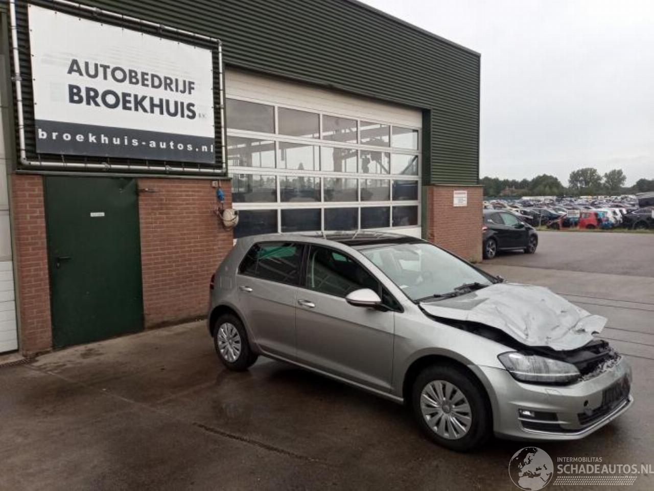 Volkswagen Golf Golf VII (AUA), Hatchback, 2012 / 2021 1.4 TSI 16V