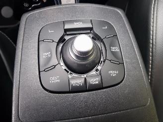 Renault Scenic 2.0 Bose Automatic picture 27