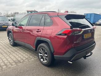 Toyota Rav-4 RAV4 (A5), Terreinwagen, 2018 2.5 Hybrid 16V picture 3