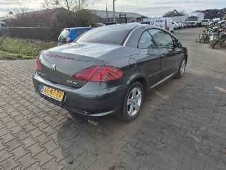 Sloopauto Peugeot 307 CC 2.0 16v 2004/3