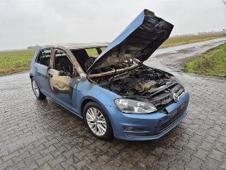Volkswagen Golf 1.6 TDi picture 4