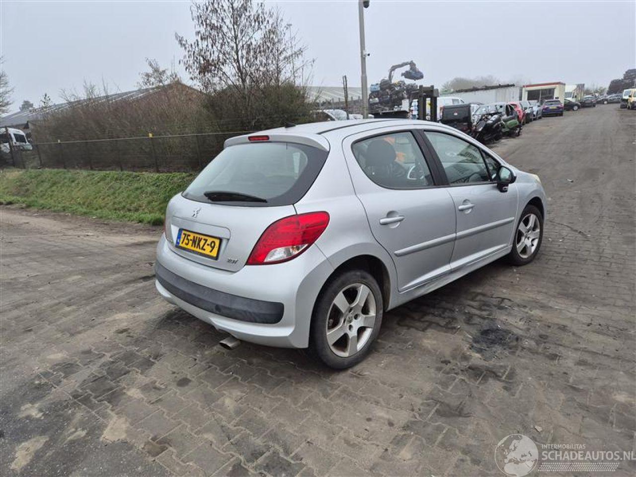 Peugeot 207 1.6 VTi