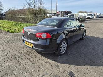 Autoverwertung Volkswagen Eos 2.0 FSi 2006/7