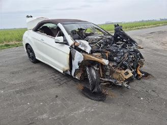 Mercedes E-klasse E 350 CDi Cabrio picture 4