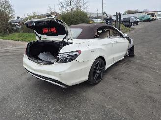  Mercedes E-klasse E 350 CDi Cabrio 2013/8