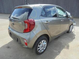 Sloopauto Kia Picanto Picanto (JA), Hatchback, 2017 1.2 CVVT 16V 2018/9