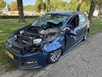 Damaged car Volkswagen Pacifica  2017/1