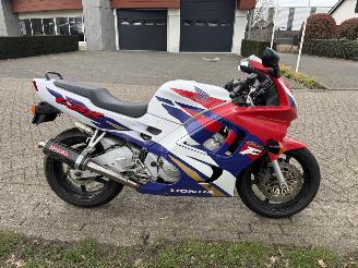 Honda CBR 600  picture 5