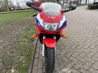 Honda CBR 600  picture 7