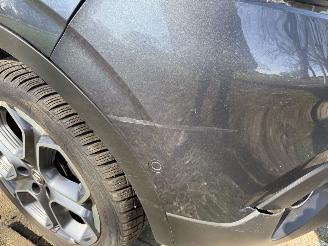 Renault Kadjar  picture 14