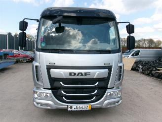 DAF LF 260 LF 260 FA - Transport Machines-Cars-Caravan picture 6