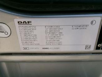 DAF LF 260 LF 260 FA - Transport Machines-Cars-Caravan picture 26