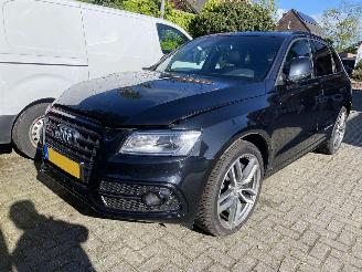 Audi SQ5 3.0 TSFI Quattro picture 25