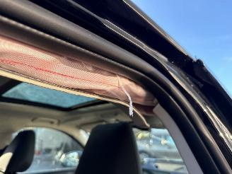 BMW iX1 225KW (306PK) haman kadon panoramadak picture 30