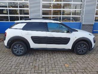 Citroën C4 cactus 1.6 BlueHDi Shine SCHADEVRIJ picture 7