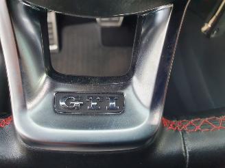 Volkswagen Golf 2.0 TSI GTI Performance DSG picture 20