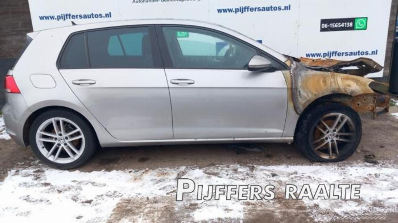 Volkswagen Golf Golf VII (AUA), Hatchback, 2012 / 2021 1.6 TDI BlueMotion 16V